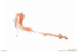 Life Yoga: Sweat