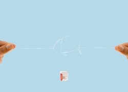 colgate floss: fish