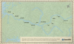 Skeena Wild Conservation Trust:  Home
