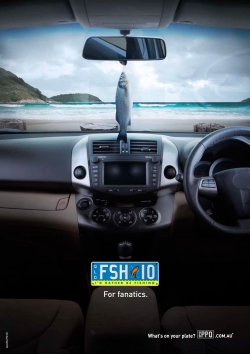 Personalised Plates Queensland: For fanatics
