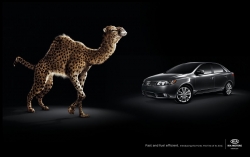 Forte: Camel