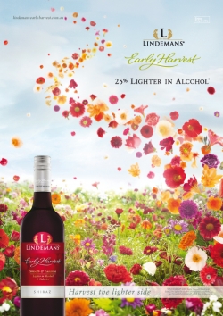 Lindemans:  Shiraz