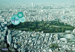 Mentos:  Shinjuku Gyoen