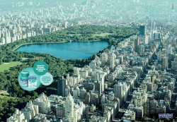 Mentos:  Central Park
