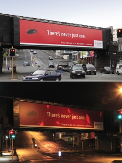 Rentokil: Never just one