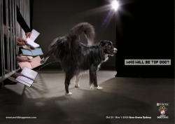 World Dog Games: Who will be top dog?