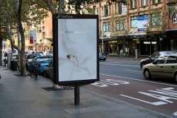 WIRES: Bird
