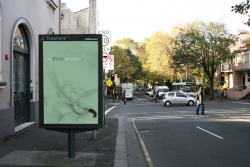 WIRES: Possum