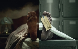 NZ Fire Service: Feet