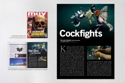 marathon: cockfights