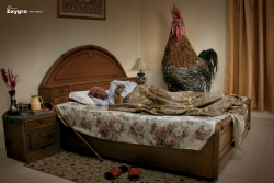 Exygra: Cock - Dream