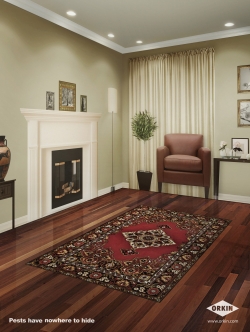 Orkin Pest Control: 2D room - Living room