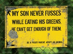 Nehru Zoological Park: Greens