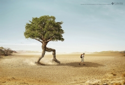 Columbia: Tree