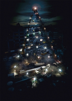 Network Rail: Tree