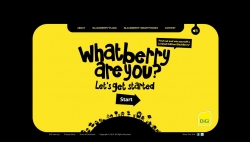 DiGi: What Berry Are You?