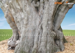 STIHL: Tree
