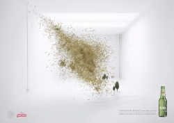 James Boag's Pure: Explosions - Barley