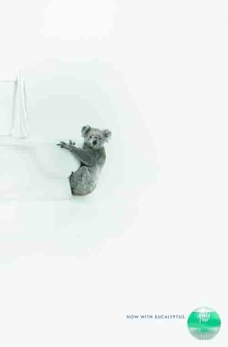 Ambi Pur: Koalav