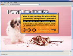 Mango Airlines:  Dog