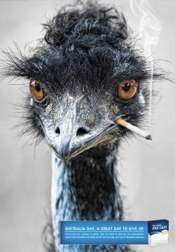 Nicabate: Emu
