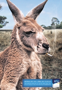 Nicabate:  Roo
