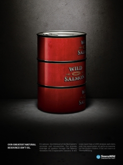 Skeena Wild Conservation Trust: Salmon/Oil