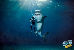 Juicy Fruit: Shark
