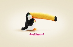 Japi Jane: Toucan