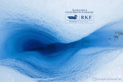 rockford stores: Grey Glaciers