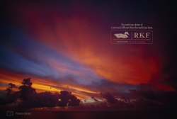 rockford stores: Phoenix Islands