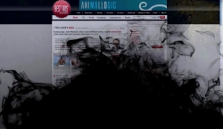 A Cleaner Future: Instant Oil Spill