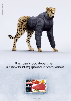 Charal: Cheetah