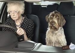 Calmdog: Granny