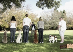 Calmdog: Fat Dog