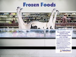 RaboDirect.com.au: Lazy Cow