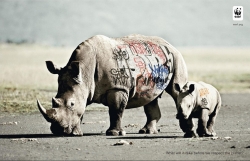 WWF - Biodiversity And Biosafety Awareness: Rhino