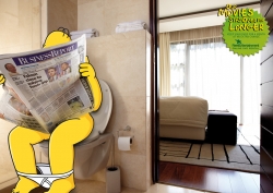 Reel Entertainment: Homer