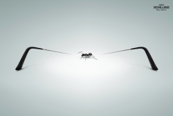 Optics Schilling: Ant