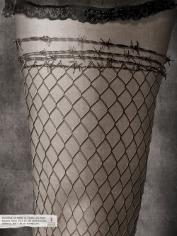 The Israel Women's Network: Prostitution