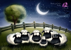 A2. Sexshop: Counting sheeps