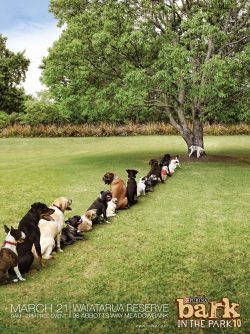 Purina Bark in the Park: Toilet Queue