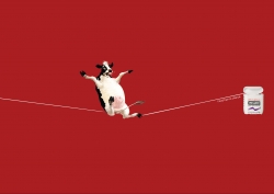 Reach Dental Floss: Tightrope