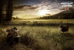 Masterdog Light: Fat Dogs