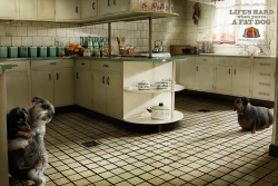 masterdog light: fat dogs - kitchen