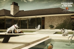 masterdog light: fat dogs - pool