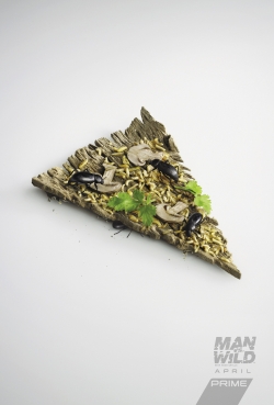 Man Vs Wild: Pizza