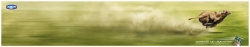 Activia: Activia Speeding Cow