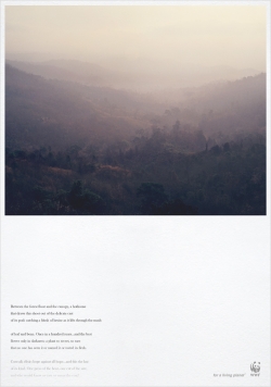 WWF: Rainforest