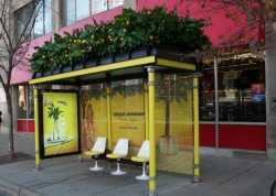 Absolut Vodka: Lemon